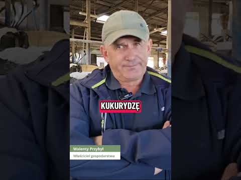 Gospodarstwo od około 1880 roku! Mają 500 zwierząt!