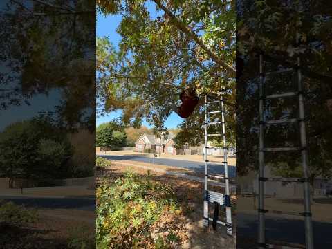 Beyond lucky. #life #lucky #living #nwarkansas #alanwats