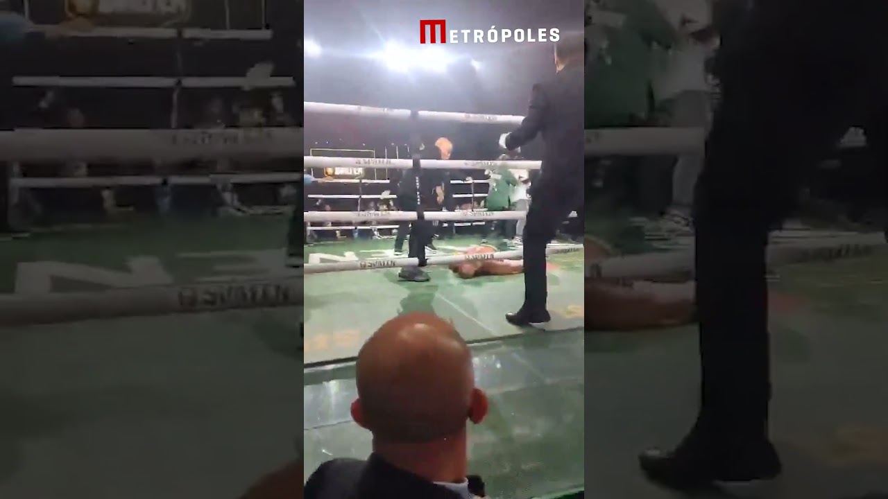 Wanderlei Silva é nocauteado durante confusão generalizada ao fim da luta contra Popó