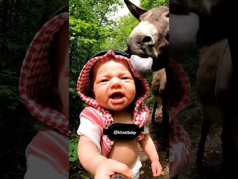 حميدان معصب 😂😂 توأم الذكاء الاصطناعي