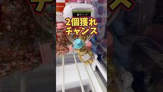 【沼】ゲーセン店員が振り回されるw #ゲーセン #ゲームセンター #あそびタウン #クレーンゲーム #shorts #サープラ #ufoキャ