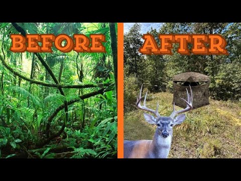 Fixing The ULTIMATE Hunting Spot!
