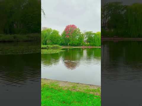 #حسبي_الله_ونعم_الوكيل