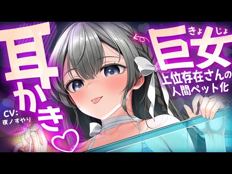 【耳かきASMR】巨女な上位存在さんのベタ慣れペットになって、耳かき＆人吸いで寝かしつけてもらう。【夜ノすやり/バイノーラル/Ear cleaning】