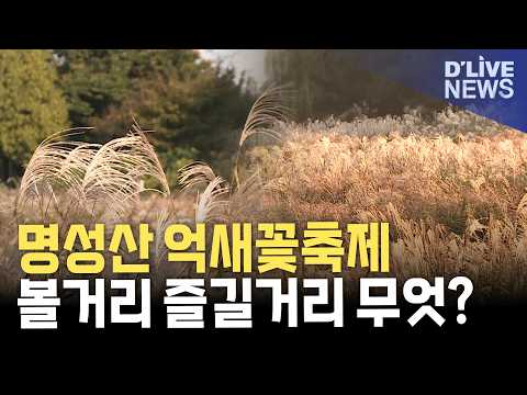 <strong>산정호수</strong> 명성산 억새꽃축제…오는 16일 개최