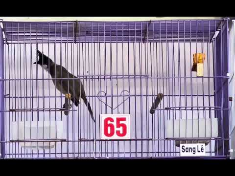 Mã 65 thiệt sự quá đẹp 🌾êm