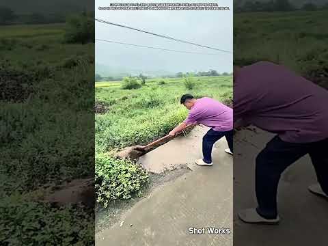 도로 입구를 가로막은 흙과 잡초를 삽 하나로 깨끗하게 치우는 방법 #worker #process #maintenance #shovel #outdoors
