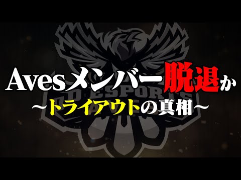 【ご報告】Avesメンバー脱退問題について...トライアウトの真相を公開します。【荒野行動】