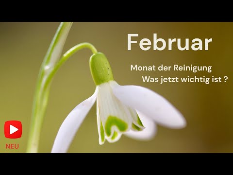 Botschaften und Energien des Februars - Was jetzt wichtig ist !!!