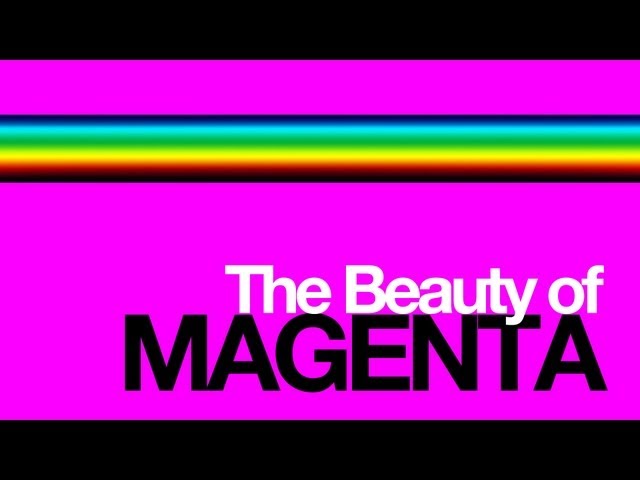 what-colors-go-with-magenta