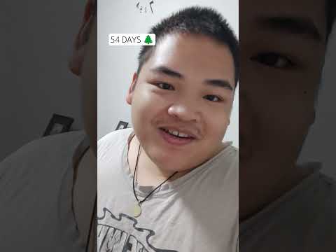 D-54 | COUNTDOWN TO CHRISTMAS DAY #christmastree #christmas #holidayseason #holiday #birthofjesus