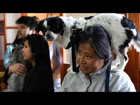 Dogs receive holy water blessing in Bolivia ceremony