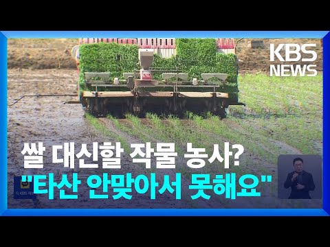 쌀 대신 대체작물?…농민은 ‘시큰둥’ / KBS  2023.05.11.