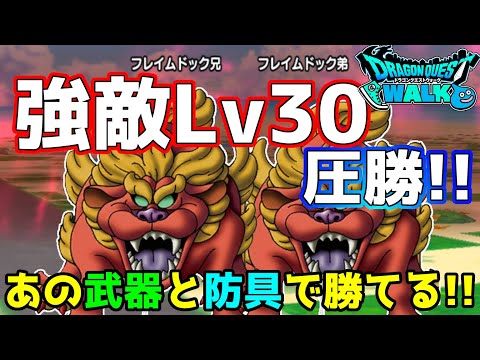 【ドラクエウォーク】強敵LV30フレイムドック戦！あの武器と防具で圧勝!!