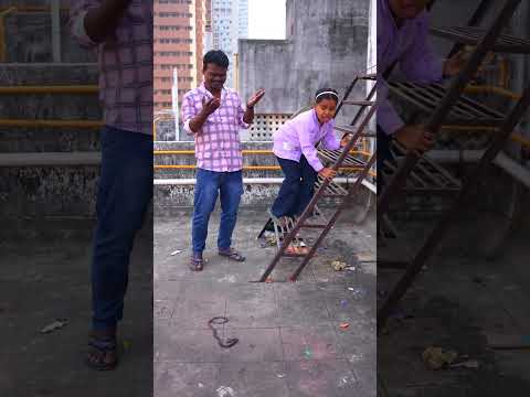 Papa Nakli sanp se dar gaye 😱😂 #shorts #funnyshorts #funnyvideo
