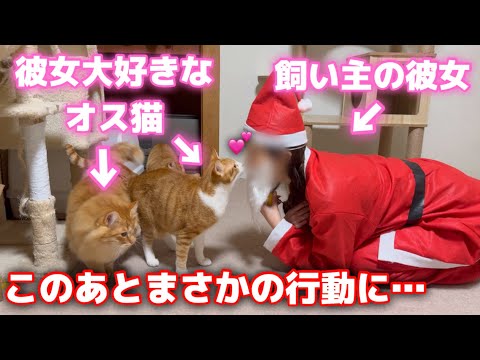 サンタコスした彼女に会ったオス猫達の反応がまさかの…