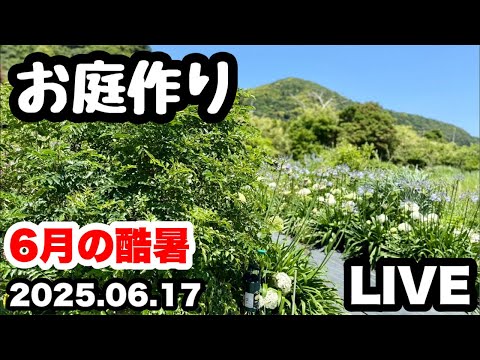 ■酷暑の庭づくり変…