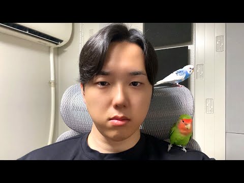 動画投稿を休止していた件について