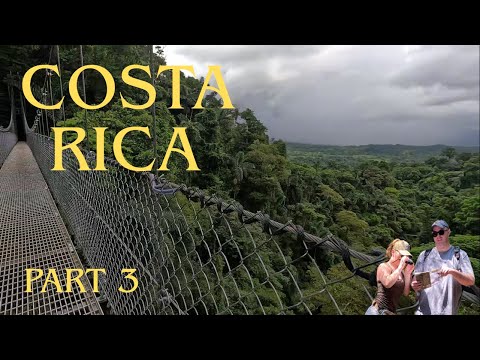 Mistico Hanging Bridges Tour & La Fortuna Waterfall | Costa Rica Self-Drive + What to Expect Part 3