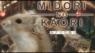 Eimi Isami plays Midori no Kaori