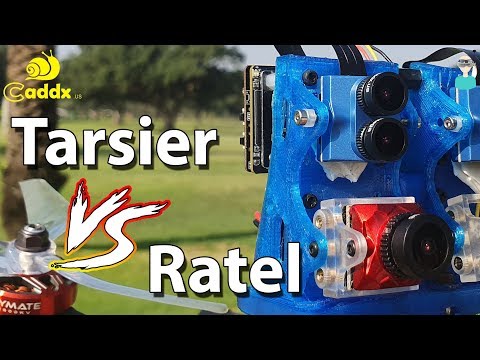 Caddx Tarsier - FPV Comparison With Ratel - UCOs-AacDIQvk6oxTfv2LtGA