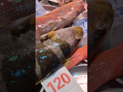 Fish/ Benjie Gonzales tv