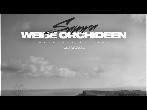 SAMRA - WEISSE ORCHIDEEN (Official Lyrics)