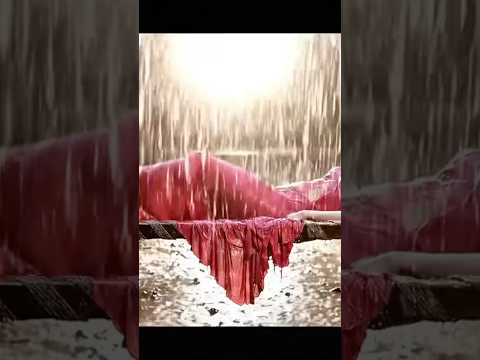 #funny #dankememes #comedy #memeclip #funnymemes #love #memehub #dance #youtubeshorts