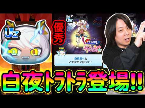 ぷにぷに 「運営さん‥強いUZが輝ける環境を作りませんか？」【妖怪ウォッチぷにぷに】 白夜虎々登場  Yo-kai Watch  part1842とーまゲーム