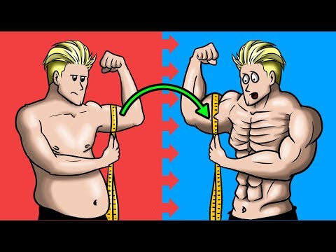 Top 10 Muscle Building Tips for BEGINNERS - UC0CRYvGlWGlsGxBNgvkUbAg