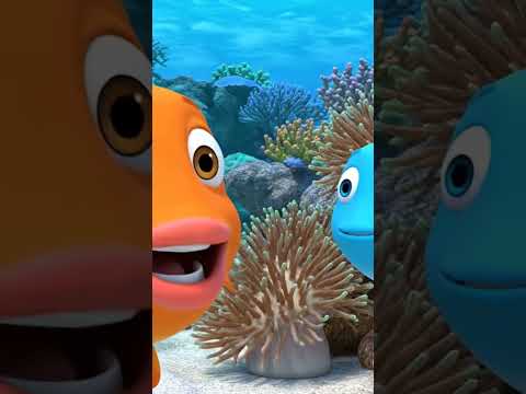 #ikancupang %ikan T#likesharesubscribe #songs #soapmaking #sotastycake