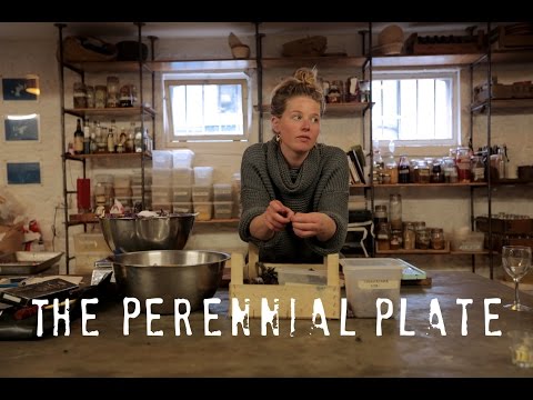 A Portrait of a Chef as a Young Woman | The Perennial Plate