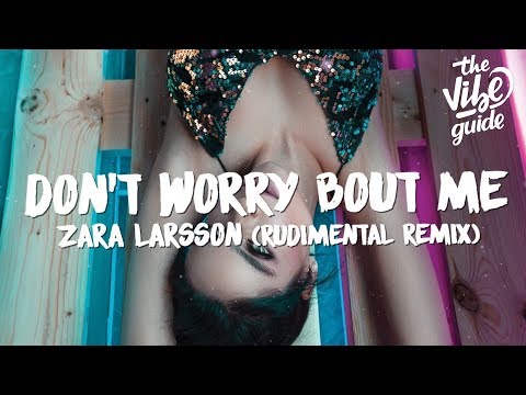 Zara Larsson - Don't Worry Bout Me (Lyrics) Rudimental Remix - UCxH0sQJKG6Aq9-vFIPnDZ2A