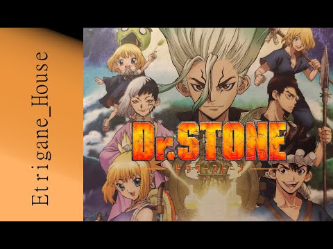 [JdP] Dr Stone - Puzzle game limité mais sympathique !
