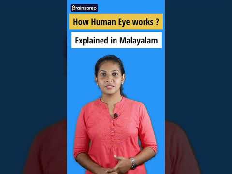 Working of human eye in malayalam  #biology #shorts #sslc #keralasyllabus #brainsprep #class10