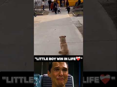 nice video 👍🏻 #doglover