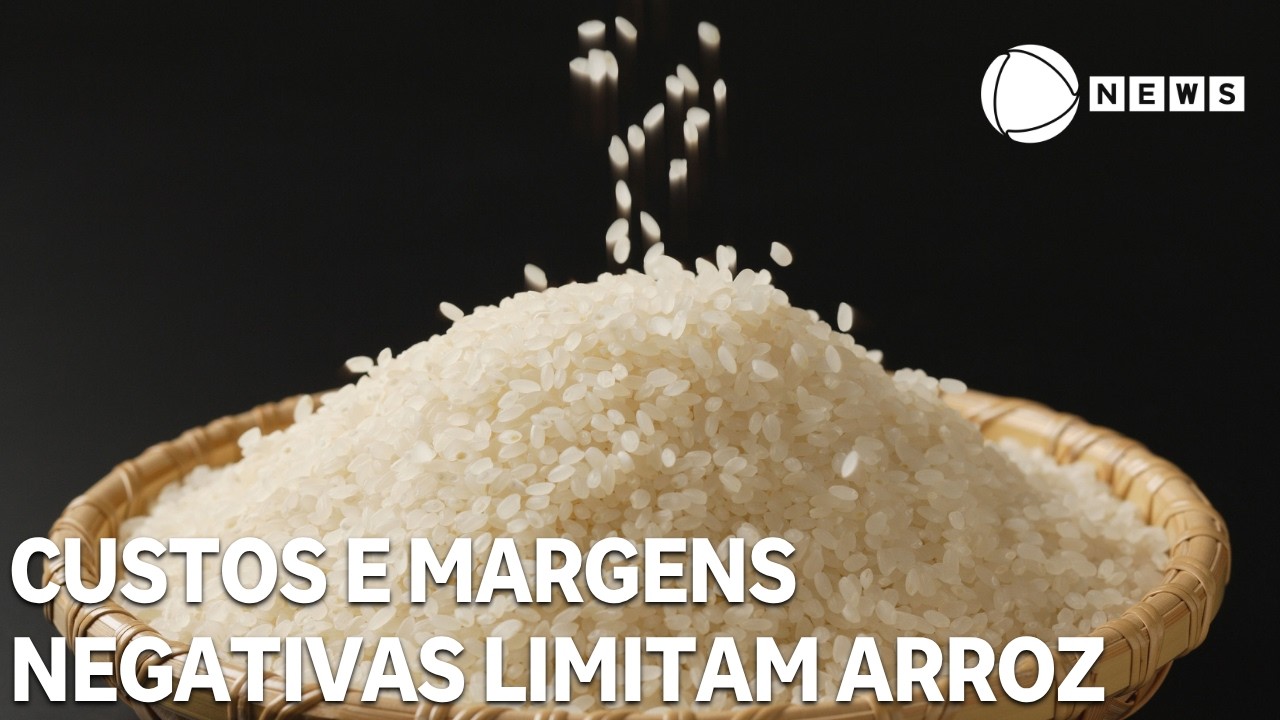 Custos elevados e margens negativas reduzem a liquidez do arroz