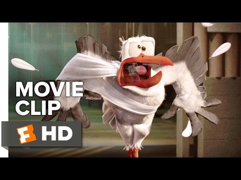 Storks Movie CLIP - Glass! (2016) - Andy Samberg Movie - UCkR0GY0ue02aMyM-oxwgg9g