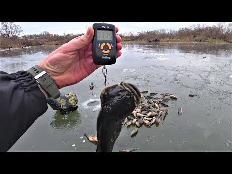 Ловим рыбу на мясо Ловим рыбу на мясо