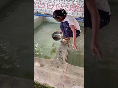 FISH EGGS #africa #viral #lifeisbutadream #fishing #nothingimposibleinthisworld