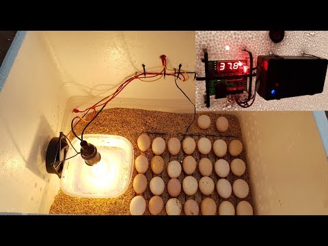 How to make a Hatching Egg Incubator at home - UCFwdmgEXDNlEX8AzDYWXQEg