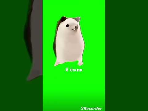 26 октября 2025 г.