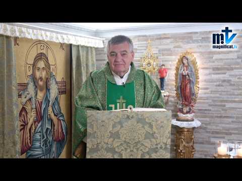 "Comulgar en Pecado es Sacrilegio" | Homilía, XXVIII Domingo del Tiempo Ordinario | P. Santiago M