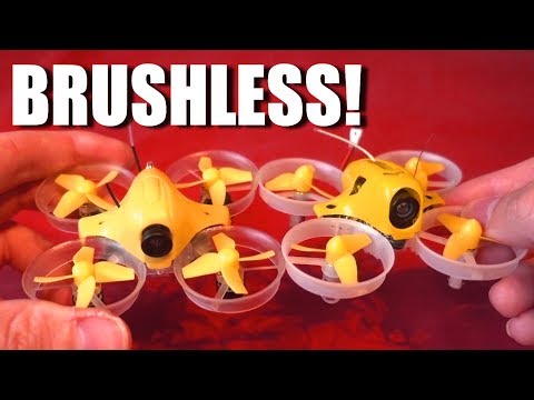 Real Brushless Tiny Whoop! - UCKE_cpUIcXCUh_cTddxOVQw