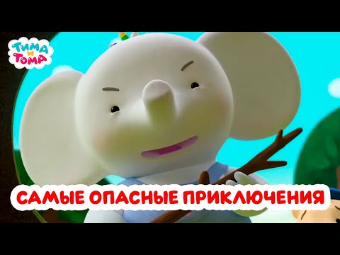 Тима и Тома. Самые опасные приключения