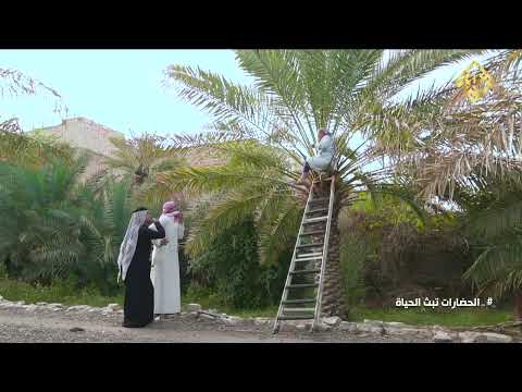 افضل حل لنزول حجي دولار