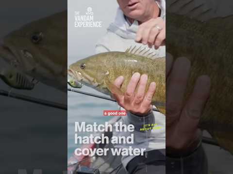 Color selecting your #fishing bait is crucial. #fish #fishingvideo @StrikeKingLure @bassproshops