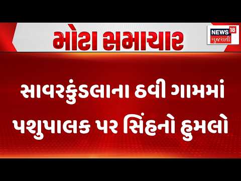 Amreli Lion Attacks | સાવરકુંડલાના ઠવી ગામમાં  પશુપાલક પર સિંહનો હુમલો | Forest Department | News18