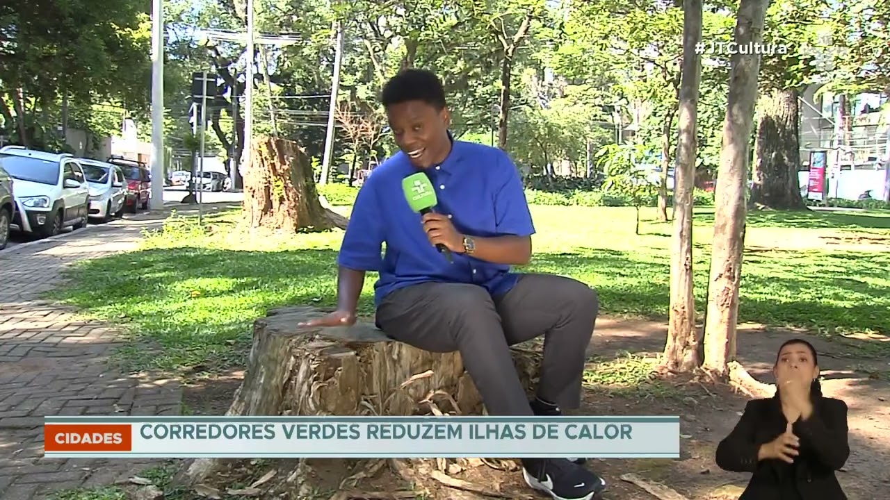 Ventos fortes derrubam árvores e acendem alerta em São Paulo