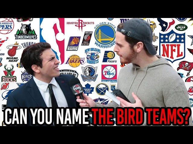 How Many NFL Teams Are Named After Birds?